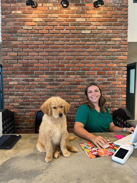 Olivia at work with a golden retriever puppy